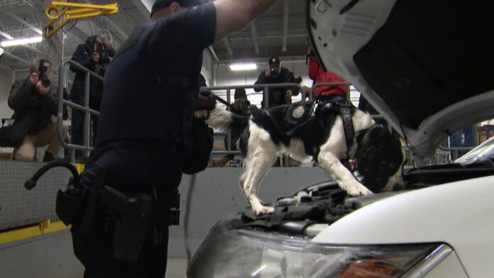 Drug-sniffing dog among changes at Quebec-U.S. border crossing as security tightens