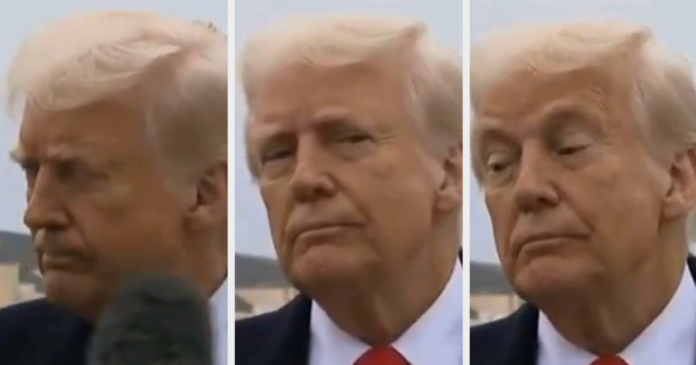 A Video Of Donald Trump Accidentally Being Hit In The Mouth By A Reporter's Microphone Is Going Viral