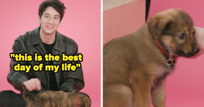 Milo Manheim Puppy Interview