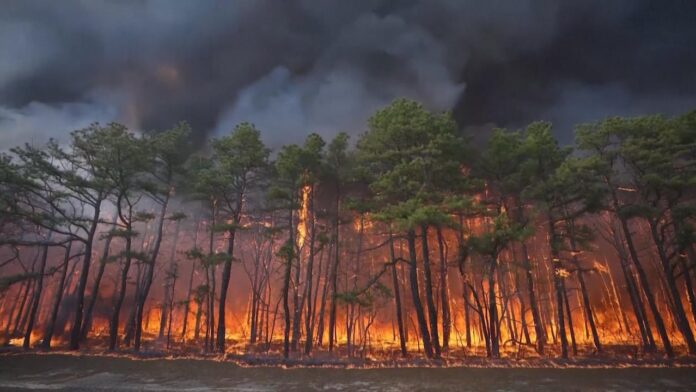 New Jersey wildfire could become state's largest in 2 decades