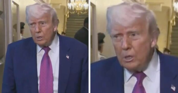"Would Be Nice If He Spoke To Putin That Way" — The Internet Is Rolling Its Eyes After Donald Trump Insulted This Reporter