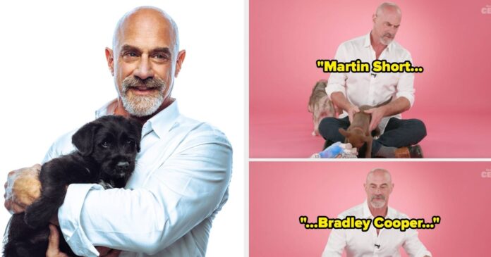 Christopher Meloni Law & Order: Organized Crime Puppy Interview