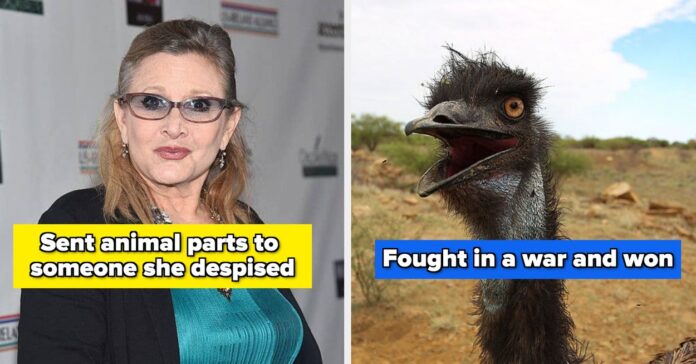 13 Mind-Blowing Facts That Sound Fake But Are True