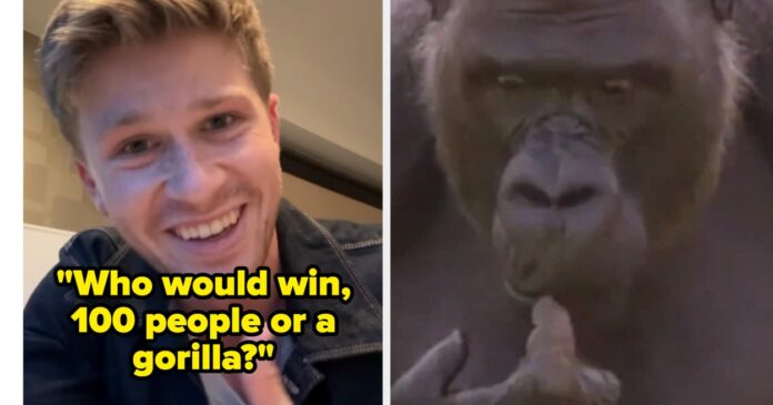 Robert Irwin Responds To 100 Men Vs A Gorilla Debate