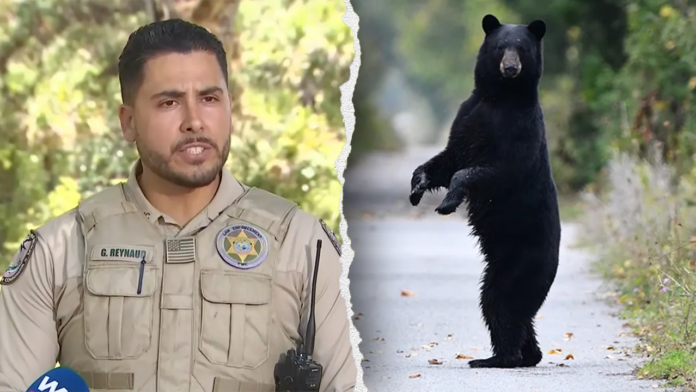 Florida man and his dog killed in first fatal black bear attack in state history