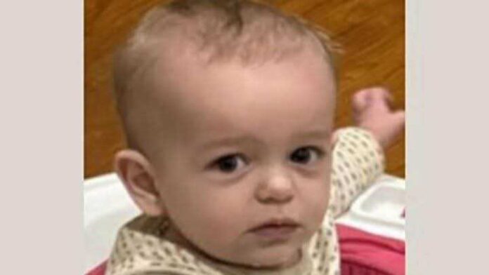 Suspected human remains of missing toddler Kahleb Collins discovered in burn pile