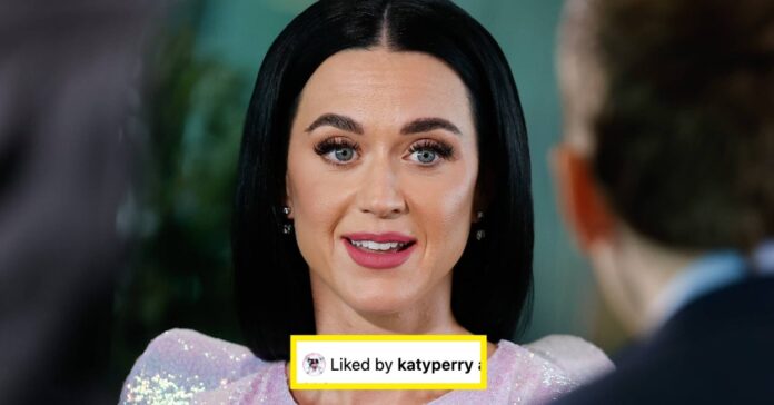 Katy Perry Had A Perplexing Response To An Onion Headline About Her