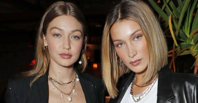 Gigi and Bella Hadid reveal shocking family secret - half-sister Aydan Nix: 'We cherish this unexpected addition to our family'