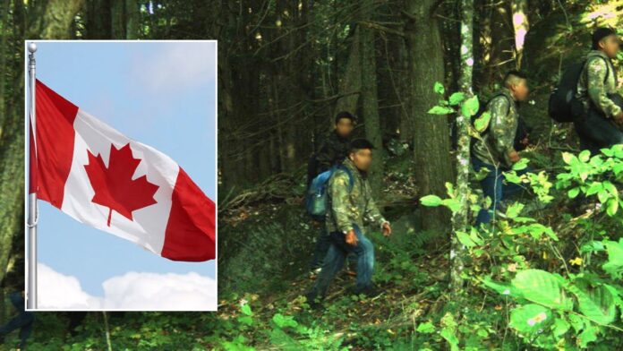 Illegal immigrants accused of smuggling aliens from Canada into U.S.