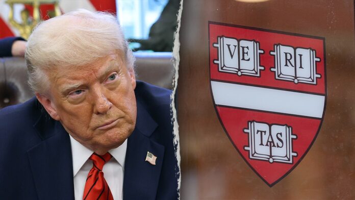 Harvard professor says university was 'not ready' after Hamas attack on Israel