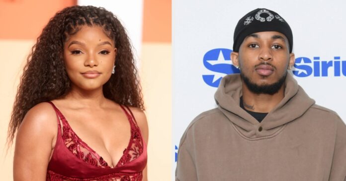 Here's What's Happening With Halle Bailey Getting A Restraining Order Against DDG