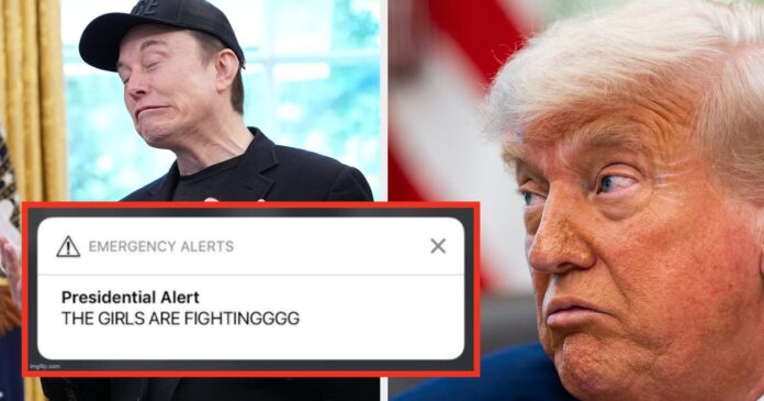 People Think This Elon Musk Tweet Is The End Of His Bromance With Trump