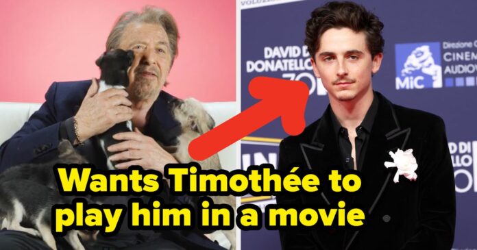 "I'm Falling In Love": Al Pacino Just Did Our Puppy Interview, And The Dogs Absolutely Adored Him