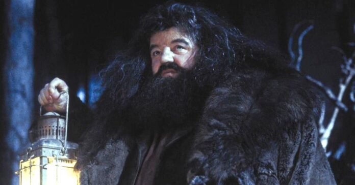 Harry Potter reboot: Hagrid actor vows one thing to fans ahead of remake
